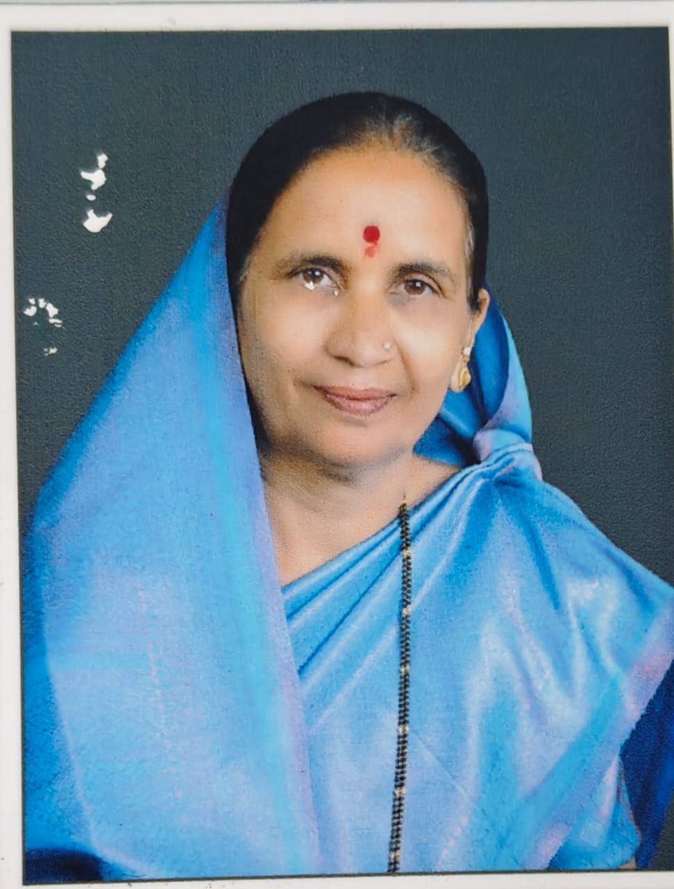 sindhutai.jpeg